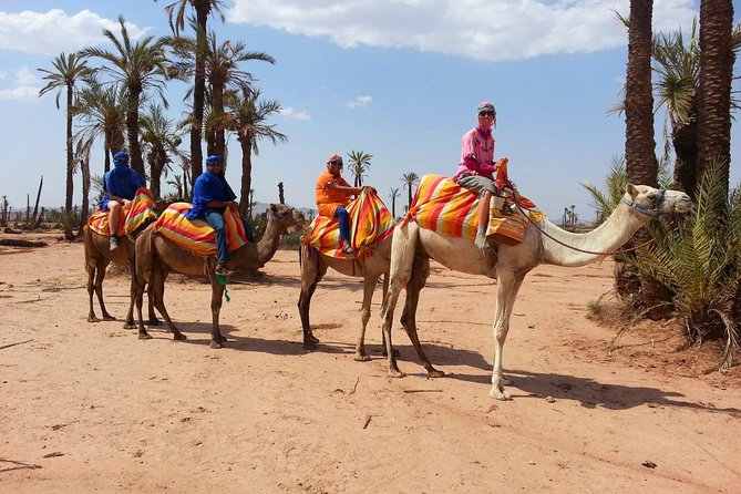 Marrakech Camel Ride Tour - Additional Information