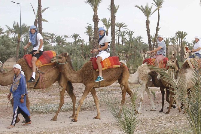 Marrakech Camel Ride Tour - Booking Confirmation