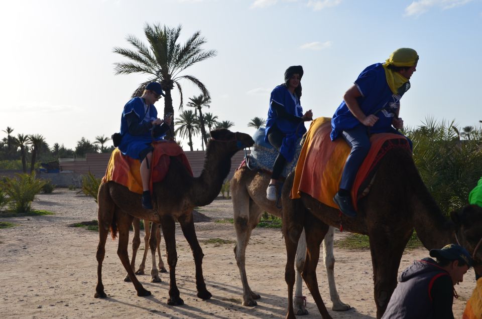 Marrakech: Camel Ride Trip in Palm Groves With Tea Break - Additional Information