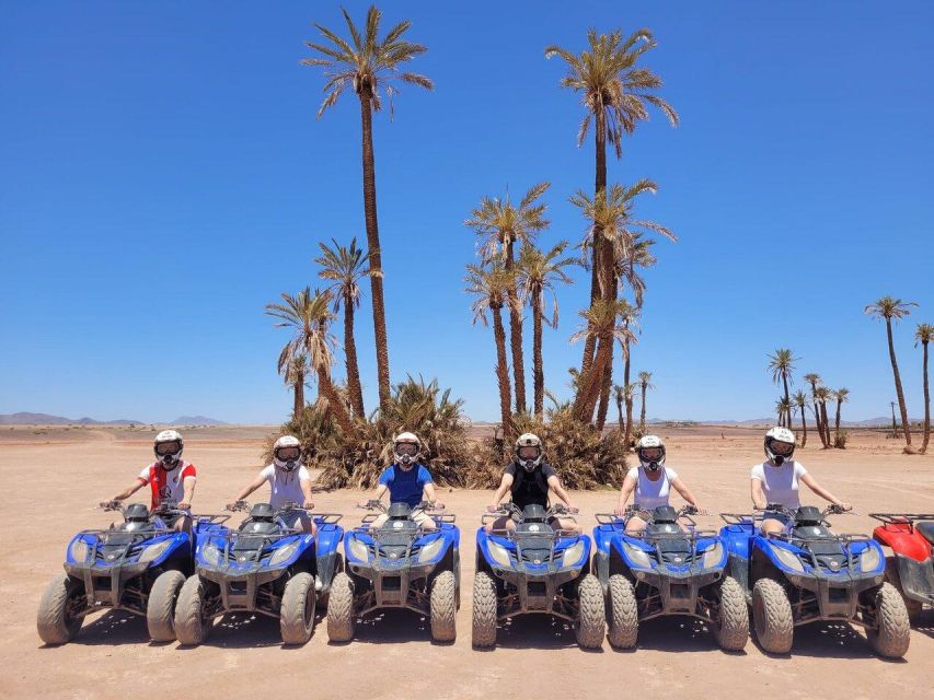Marrakech: Desert and Palm Grove Quad Tour With Tea - Customer Reviews & Recommendations