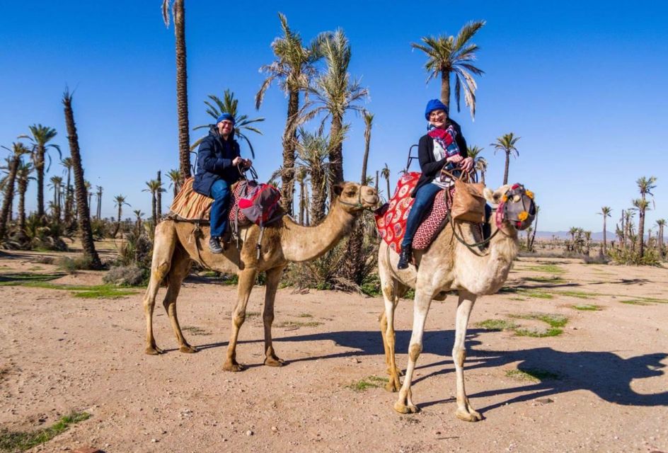 Marrakech : Exciting Camel Ride in Palmeraie - Logistics