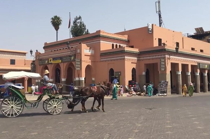 Marrakech Explorer: Guided Tour With Van & Lunch - Traveler Experience Insights