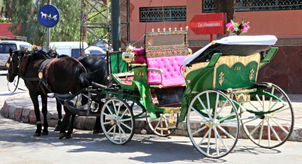 Marrakech: Majorelle & Menara Gardens Tour & Carriage Ride - Full Description