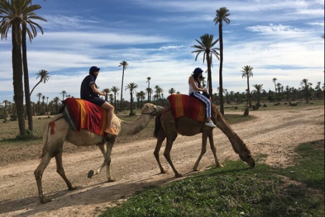 Marrakech Oasis Escape: Camel Ride & Quad Bike Adventure - Traveler Feedback