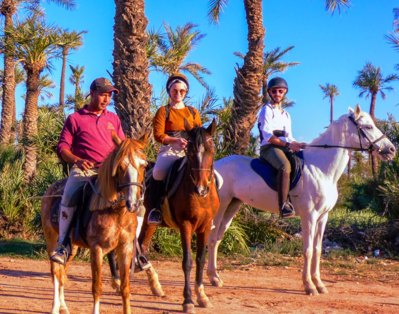 Marrakech: Palm Grove Horseback Riding Tour - Directions