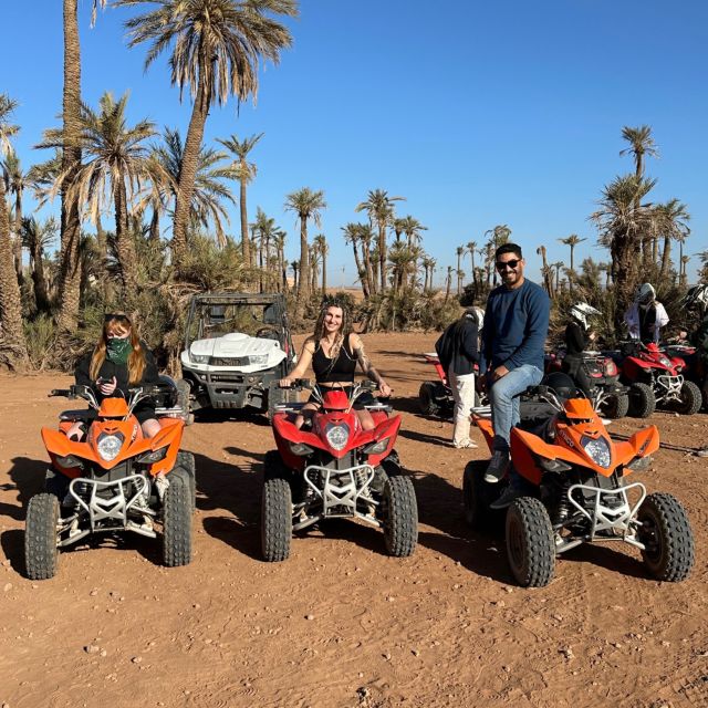 Marrakech: Palm Grove Package, Quad & Camel, Tea & Transfert - Overall Experience Summary