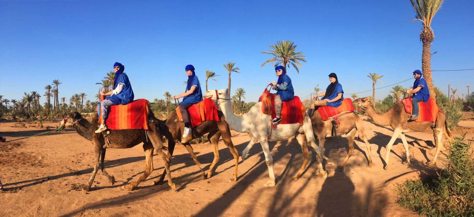 Marrakech Palmeraie: Camel Ride at Sunset - Common questions