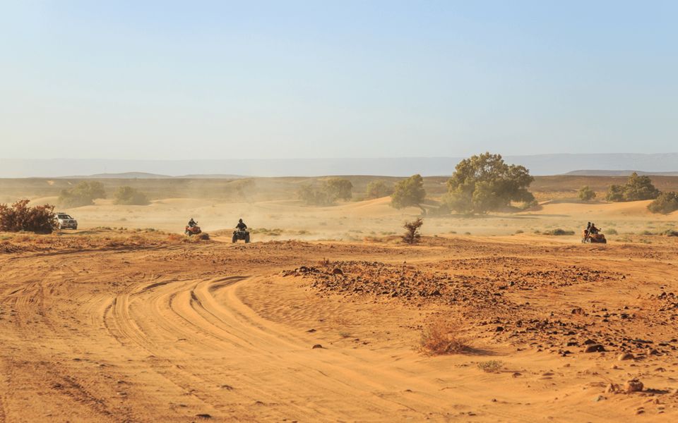 Marrakech Palmeraie :Quad Bike Tour With Tea Break - Free Cancellation Policy