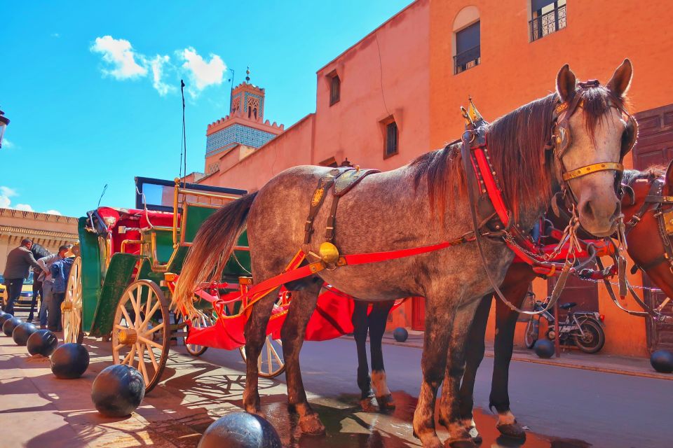Marrakech: Private Half-Day City Highlights Tour - Common questions