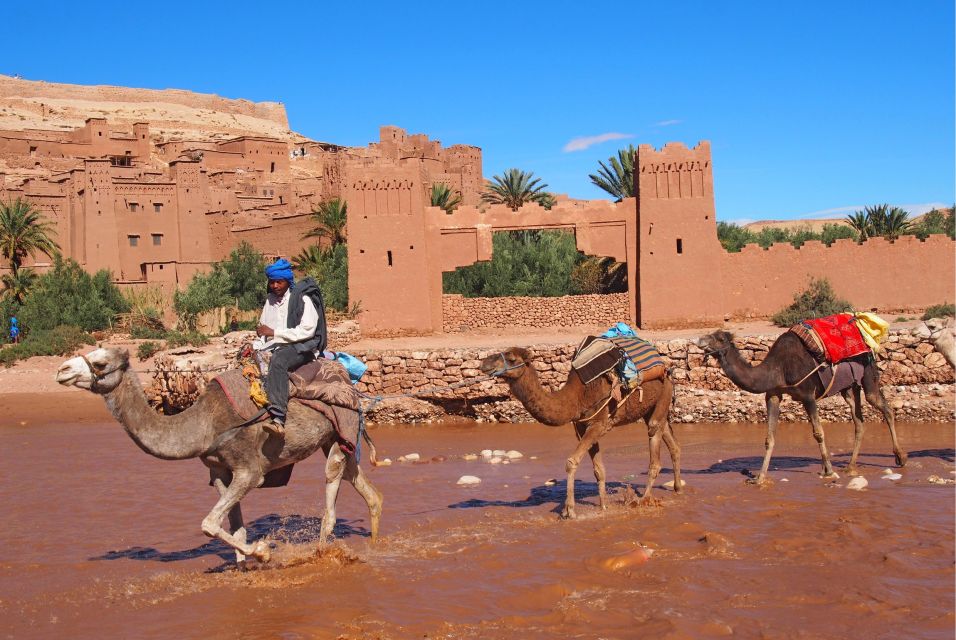 Marrakech: Private Kasbah Ait Benhaddou and Telouet Day Trip - Return Journey