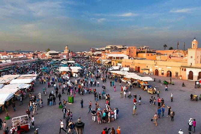 Marrakech Shore Excursion From Agadir - Contact Information and Support