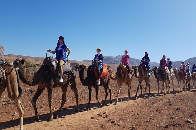 Marrakech Small-Group Atlast Mountains Tour With Camels - Last Words