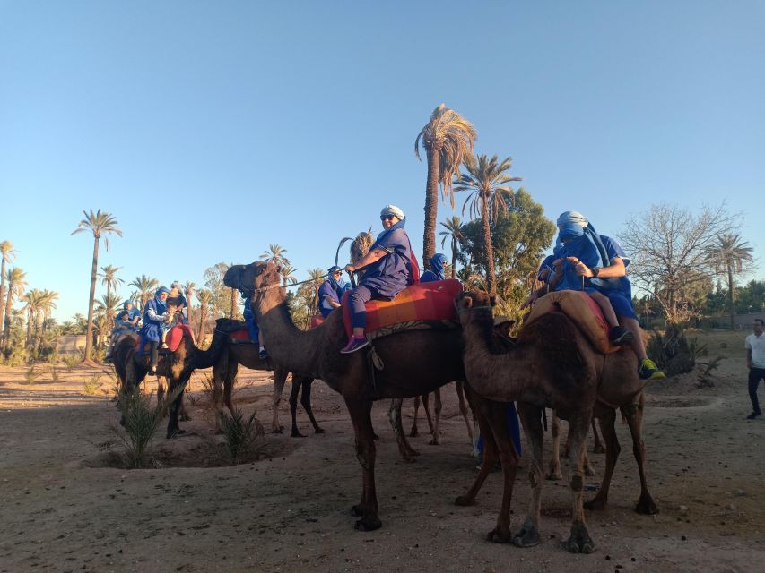 Marrakech: Sunset Camel Ride in the Palmeraie - Additional Information