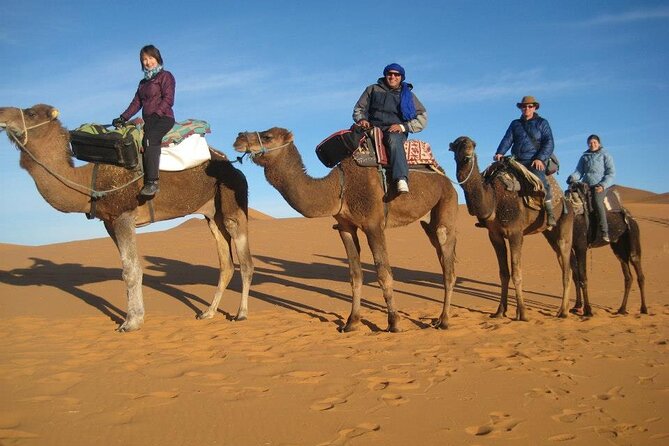 Marrakech to Merzouga: 3-Day Desert Journey to Erg Chebbi - Common questions