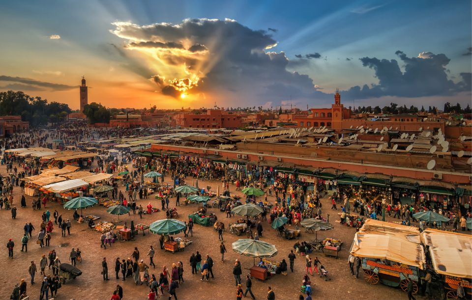 Marrakech: Tour of Majorelle and Menara Gardens - Booking and Contact Details