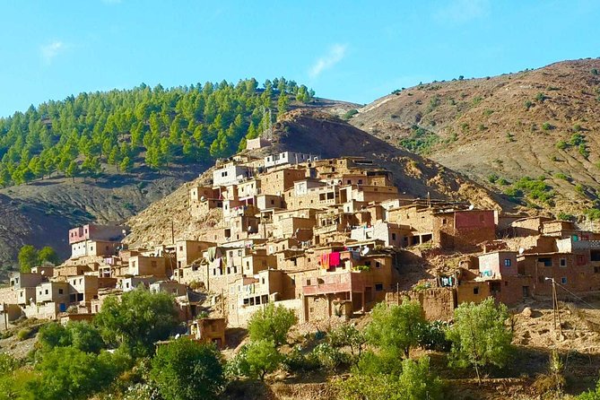 Marrakesh Day Tour to Atlas Mountains - Traditional Lunch Experience