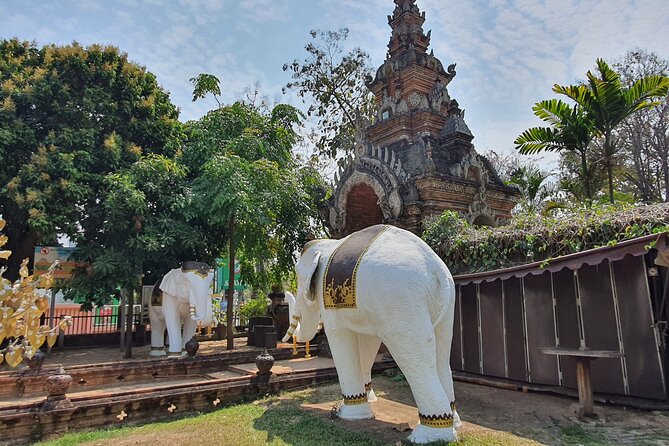 Mastering Chiang Mai Temples in Halfday - Visit 7 Temples - Transportation and Guided Tour