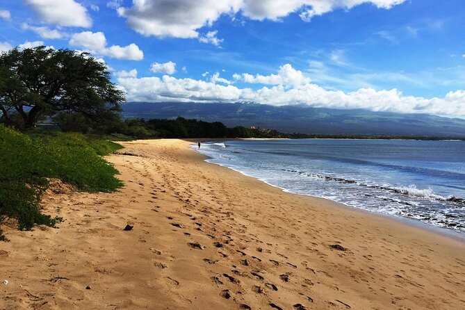 Maui Island Private Day Tour - Traveler Reviews and Ratings