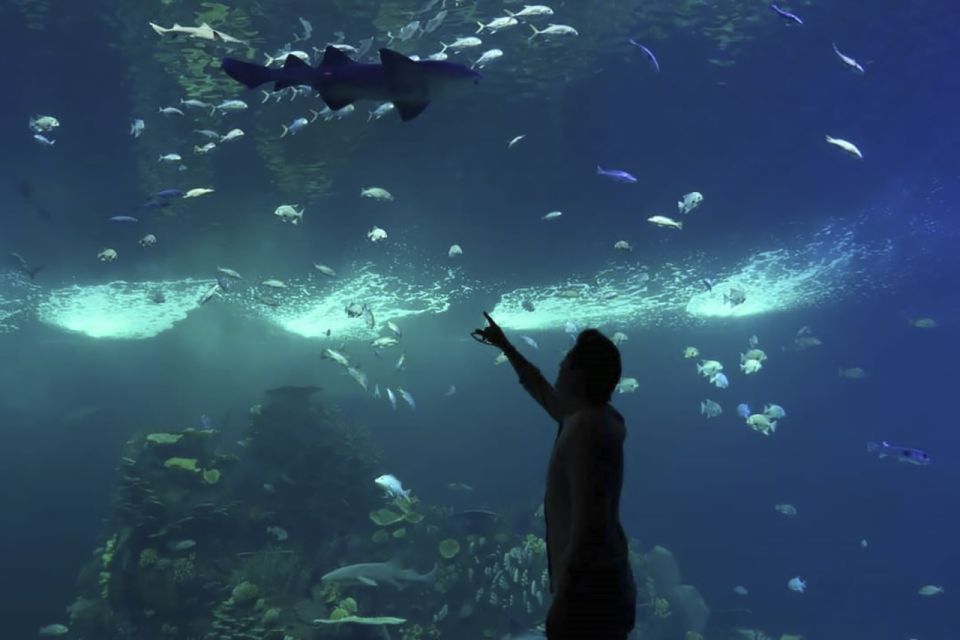 Mazatlan: Grand Aquarium Ticket and City Sightseeing Tour - Value for Money