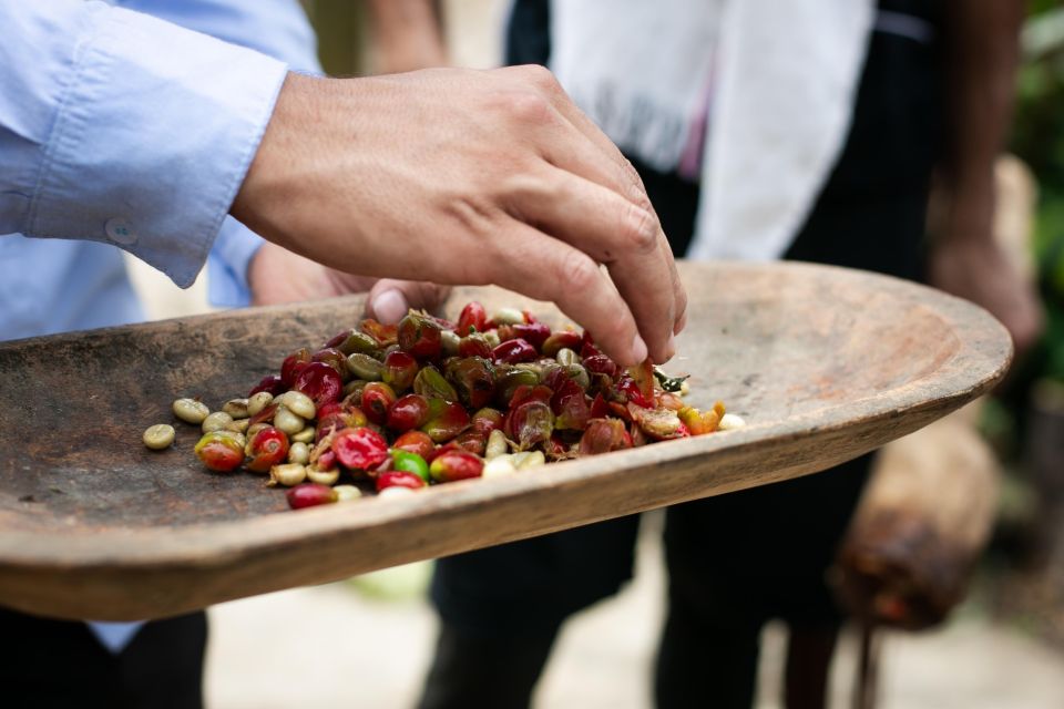 Medellin: Coffee Tour, Horseback Arrival, and Sugar Cane - Experience the Landscapes