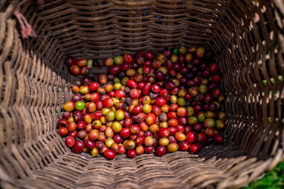Medellín: Coffee Tour With Tastings and Lunch - Booking Flexibility and Information