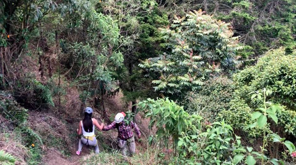 Medellin: Day Trip to Private Zipline and Waterfall Trek - Activity Highlights