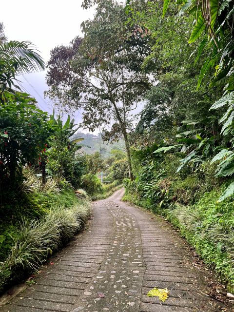 Medellin: Electric Mountain Bike (Ebike) - Adventure Route - Lunch and Ecohotel Experience