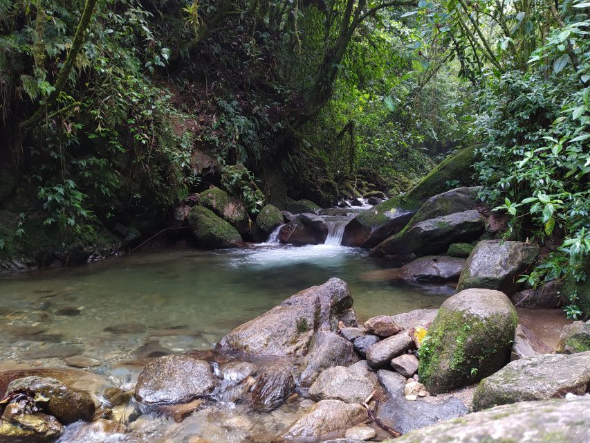 Medellin: Half–Day Private Nature Tour & Waterfall Hike - Booking Information and Flexibility