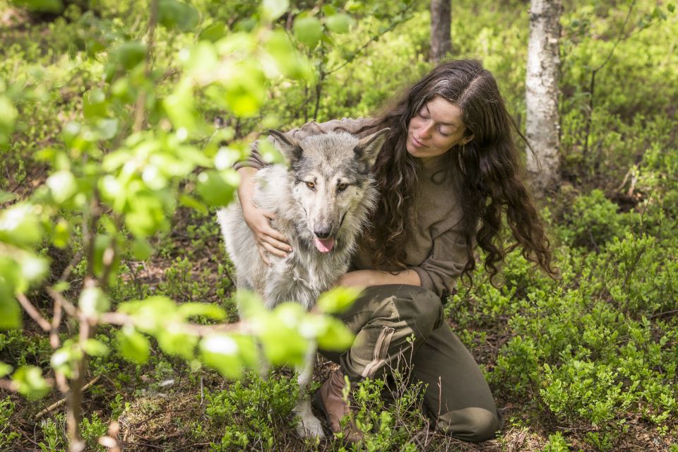 Meet Taivas & the Arctic Wolves - Memorable Arctic Wolf Experience