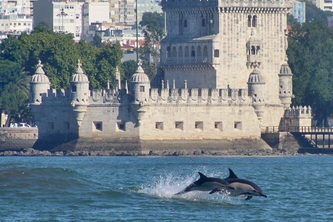 Meet the Lisbon Dolphins - Dolphin Watching in Lisbon - Common questions