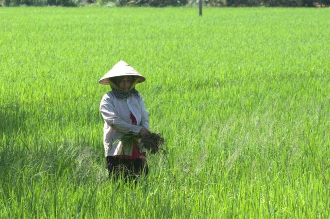 Mekong Delta Private Tour From Ho Chi Minh City - Common questions