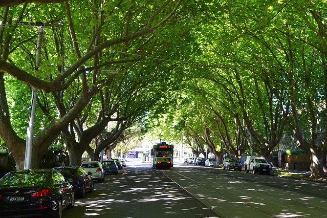 Melbourne Drive by Day Tour - Guide Spotlight