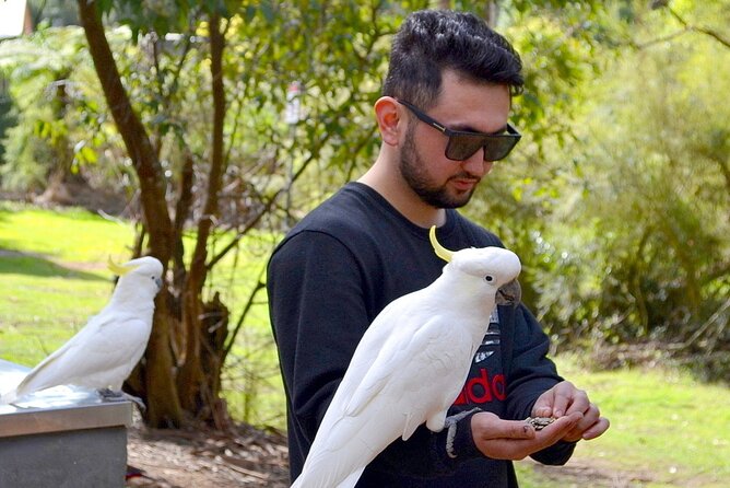 Melbourne Sky High Bush Tour - Customer Reviews