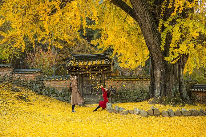 Memorable Autumn Foliage Random Tour (From Busan) - Common questions