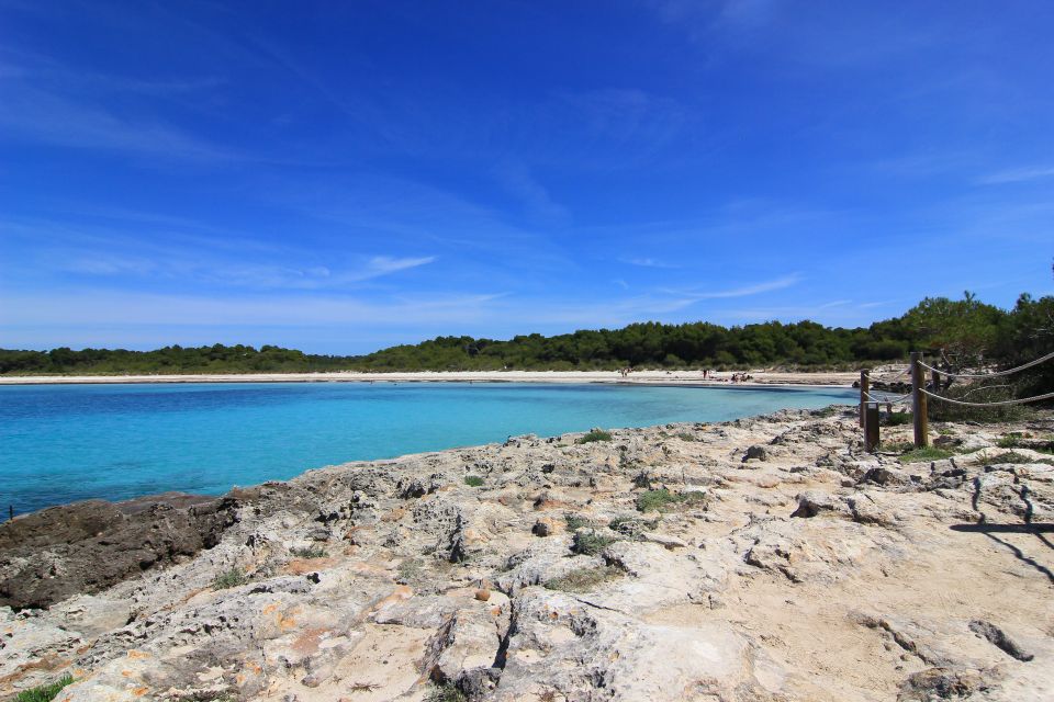 Menorca: Natural Coves and Beaches Boat Trip & Paella Lunch - Review Summary