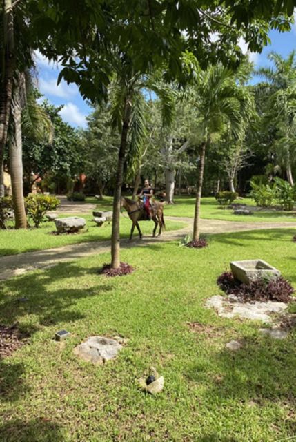 Merida: Hacienda Horseback Ride Experience - Basic Horse Riding Techniques