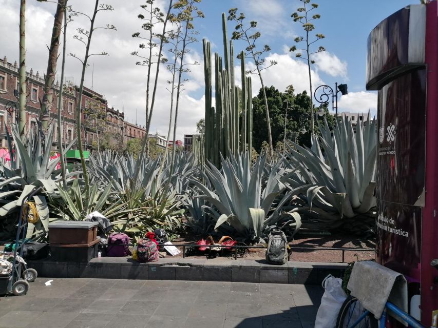 Mexico City's Historical Sights: Audio Guided Walking Tour - Travel Directions