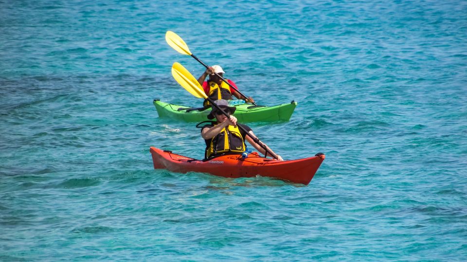 Miami: Biscayne Bay Aquatic Preserve Kayak Tour - Additional Information