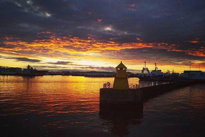 Midnight Sun Whale Watching From Reykjavik - How to Prepare for the Tour?