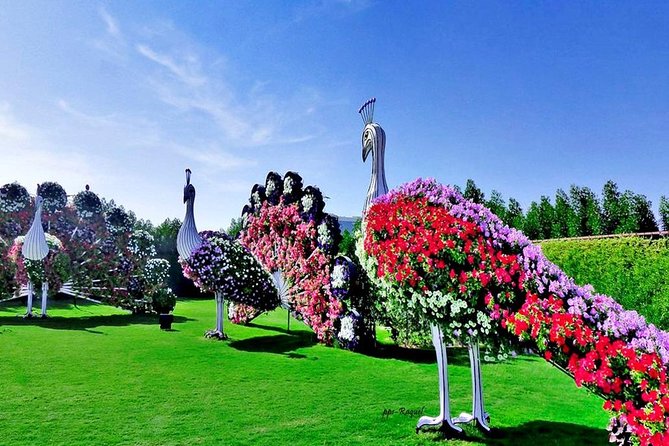 Miracle Garden: Dubai Flora and Fauna 4-Hour Tour - Common questions