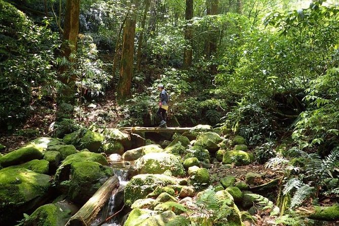 Miyazaki Valley Waterfall Hike - Common questions