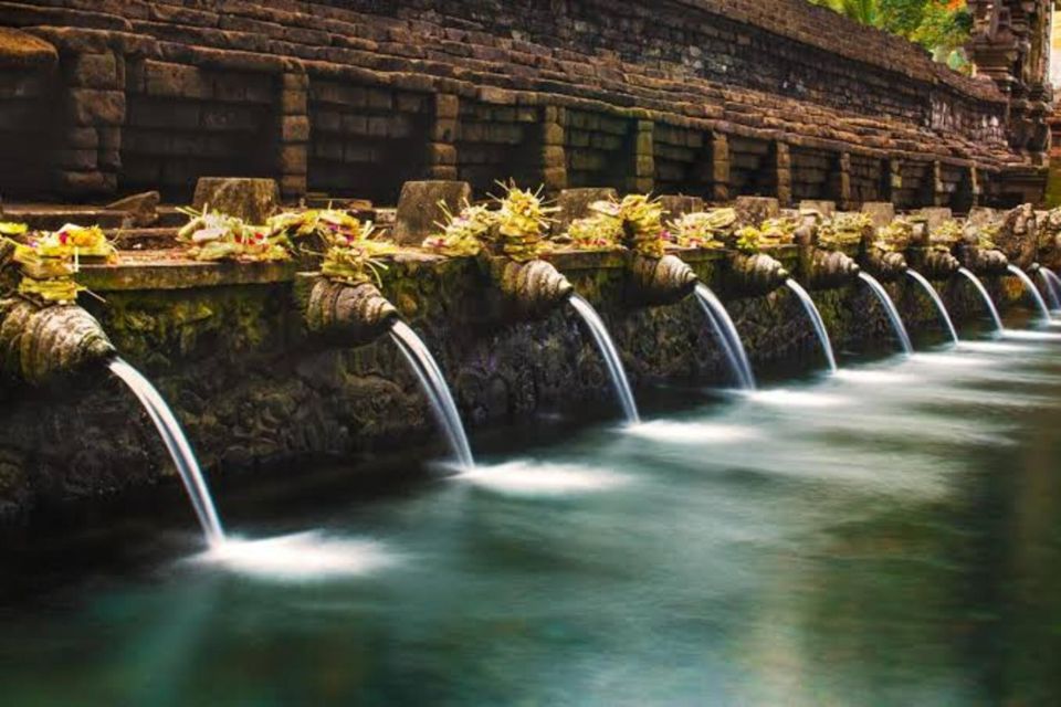 Monkey Forest, Rice Terrace, Water Temple,& Waterfall Tour - Swing Experience