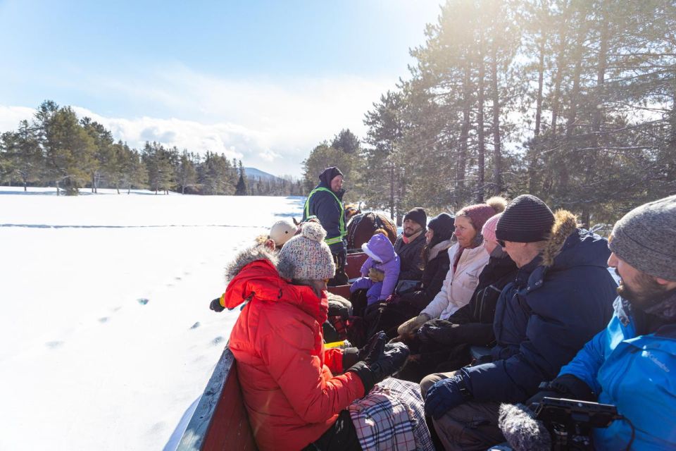 Mont-Tremblant: Sleigh Ride W/ Storytelling & Hot Chocolate - Highlights & Entertainment