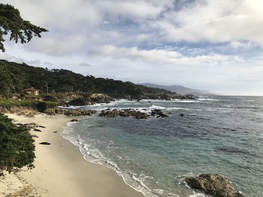 Monterey Peninsula Sightseeing Tour Along the 17 Mile Drive - Reviews