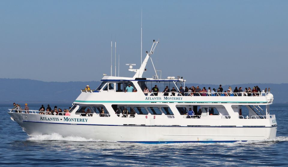 Monterey: Whale Watching Tour With a Marine Guide - Review Summary