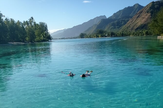 Moorea Half Day Private Tour With Snorkeling and Cruising the Lagoon - Common questions