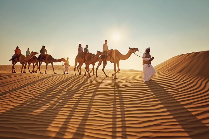 Morning Desert Safari With Quad Bike Tour Abu Dhabi - Tour Activities
