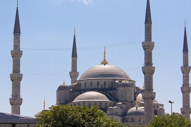 Morning Istanbul: Half-Day Tour With Blue Mosque, Hagia Sophia, Hippodrome and Grand Bazaar - Tour Guides