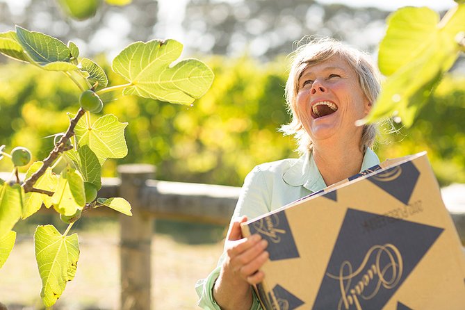 Mornington Peninsula 2-6 Guests Lunch and Inc Wine Tasting at Quealy Winemakers - Additional Tour Information