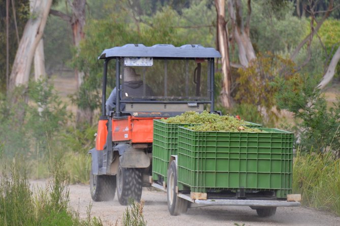 Mornington Peninsula Private Car Winery Tour.1-7 People One Car Price. - Cancellation Policy